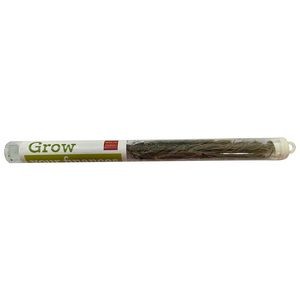 Live Evergreen Tree Seedling in Clear Tube