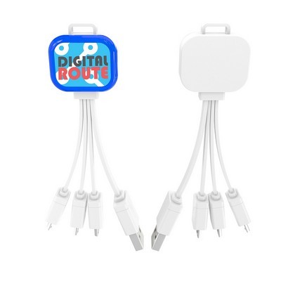 Custom Printed Charge and Sync Cable